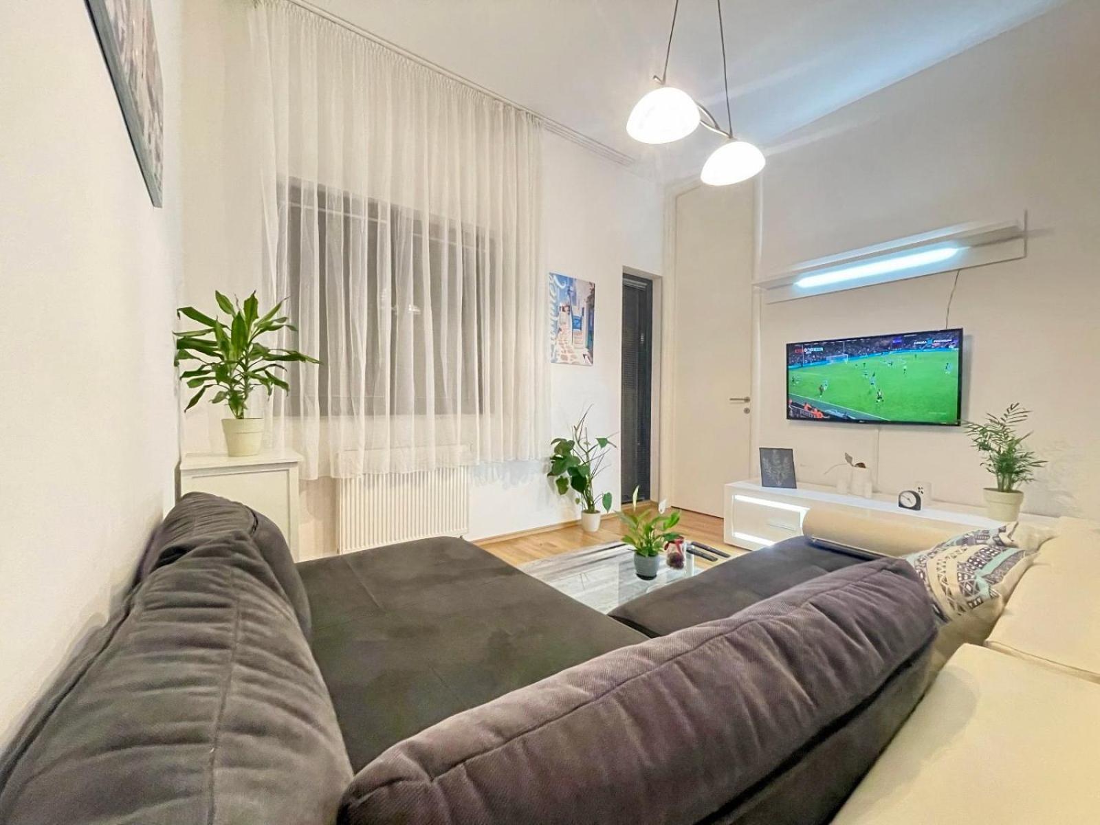 Centar Lujane Apartment *